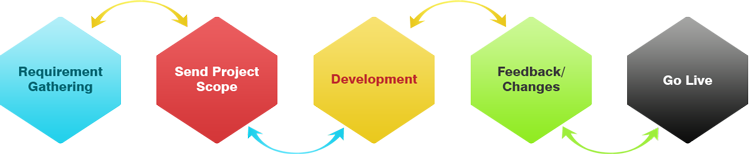 eCommerce Development and Web Development Company in India 